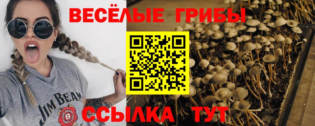 Псилоцибиновые грибы MAGIC MUSHROOMS Ижевск